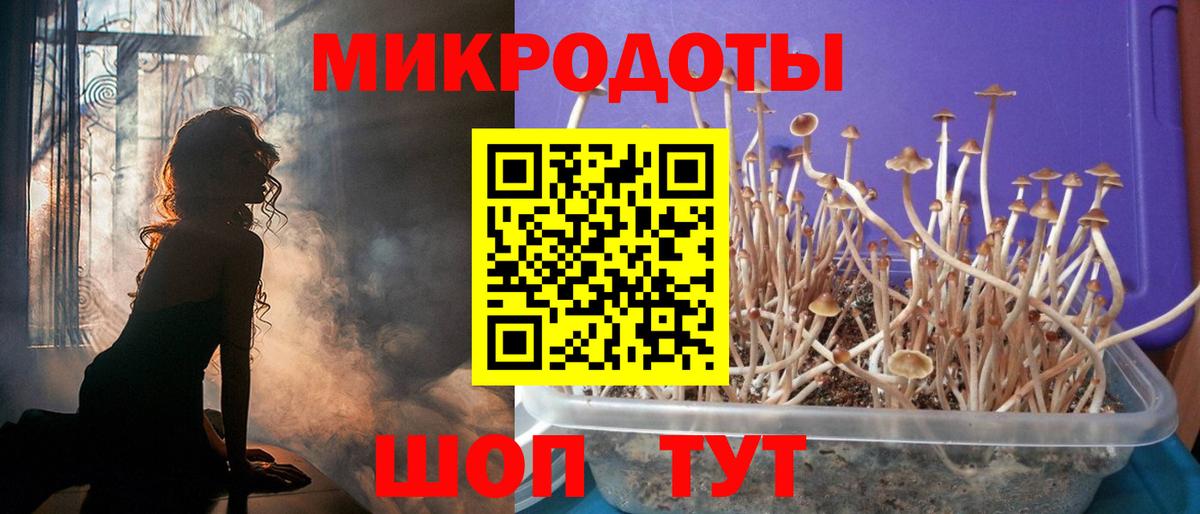 как найти   Псилоцибиновые грибы Psilocybine cubensis  Саянск  Вход с VPN  Псилоцибиновые грибы GOLDEN TEACHER 